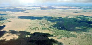 Stort viltreservat i Tanzania slipper gruvedrift – men oljeboring truer