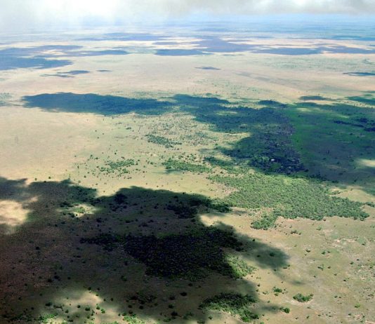 Stort viltreservat i Tanzania slipper gruvedrift – men oljeboring truer