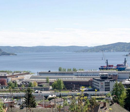 Drammensfjorden har blitt mye renere, men ennå finnes det miljøgifter