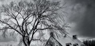 Forbud mot fyringsolje fra 2020