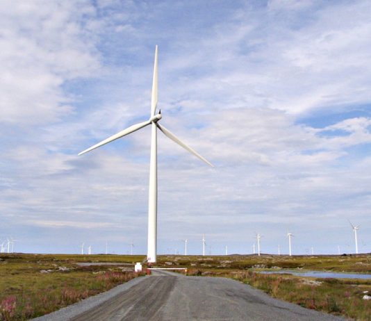 Undersøker om hydrogen fra lokal vindkraft kan gi lønnsom og bærekraftig transport