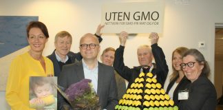 Øko-jubel: Det ble forbud mot GMO-mais i Norge