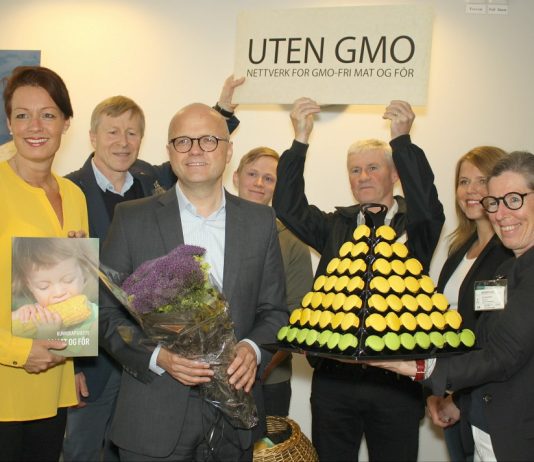 Øko-jubel: Det ble forbud mot GMO-mais i Norge