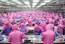 di Caprio: “Dette er videoen framtidige generasjoner vil ønske at alle i vår tid hadde sett”