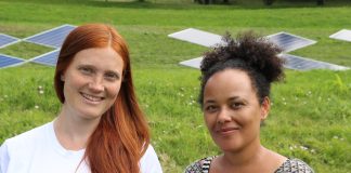 Sjefene for den grønne Øya