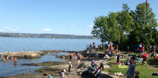 Drømmeforhold for grønn festival på Nesodden