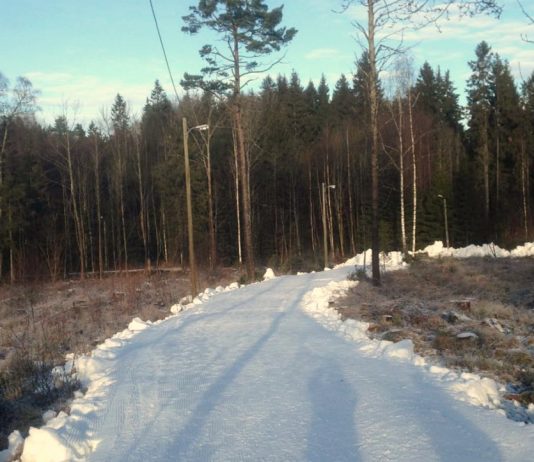 Skisporten trues av klimaendringer – kommer Norges Skiforbund på banen?