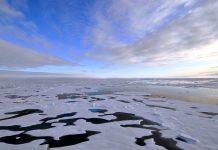 SV varsler bråk om oljeblokker i Barentshavet – Frp vil støtte regjeringen