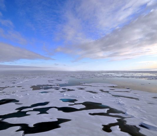 Budsjettlekkasje: 20 millioner mer i året til havforskningsprosjekt