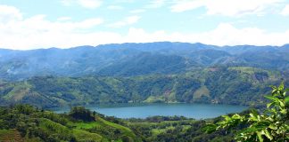 Colombia skjerper kampen for regnskogen i Amazonas