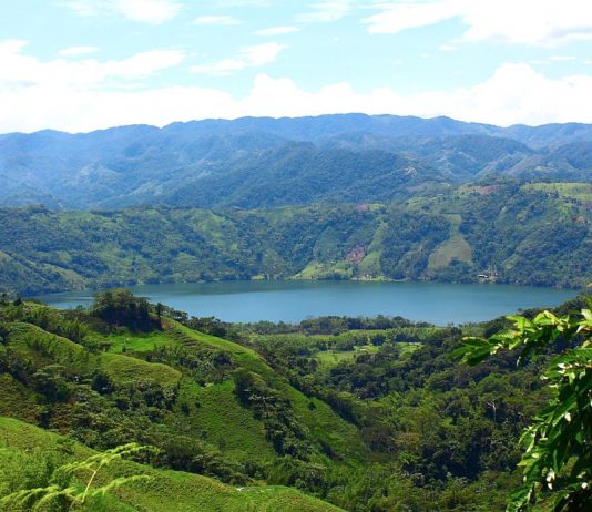 Colombia skjerper kampen for regnskogen i Amazonas