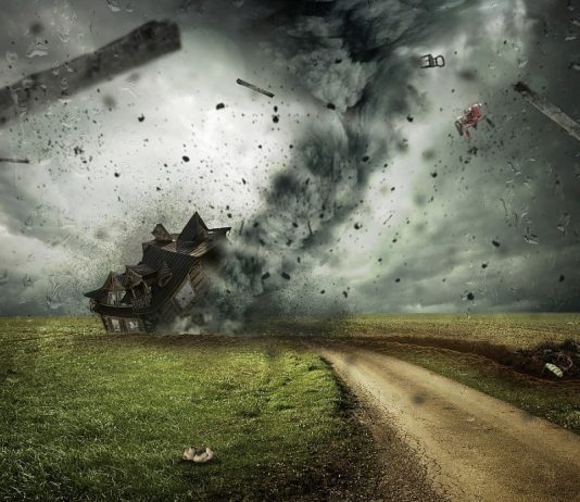 Effektene av klimaendringer: “5 % sjanse for sosial kollaps innen 2100”