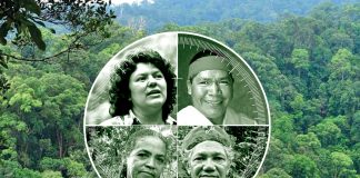 Hver uke blir miljøforkjempere drept – Regnskogfondet maner til handling