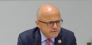 Helgesen gir lov til å felle 42 ulver i vinter. – Uansvarlig, sier Naturvernforbundet