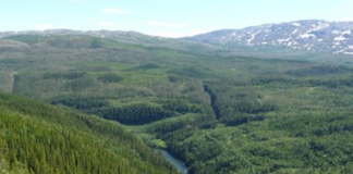 Om ulveslakt, elgjakt og global avmakt