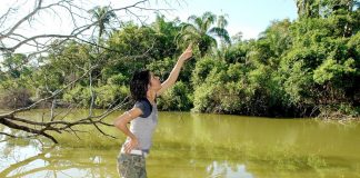 Nye funn: Store metanutslipp kommer fra trær i Amazonas