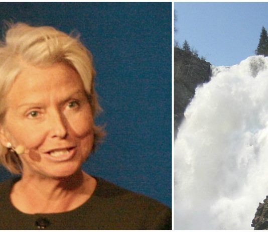 Jubel for vern av Øystesevassdraget