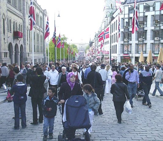 9 av 10 nordmenn støtter utslippsmålene, men få tror at vi når dem