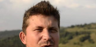 I Romania er det 2.500 ulver: “Det er ingen grunn til å være redd disse dyra”