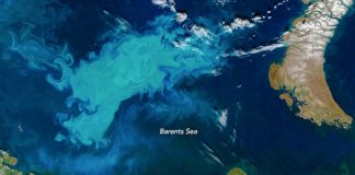 Ny kjempeøy av plastsøppel er i ferd med å dannes, mener forskere. Det blir den sjette