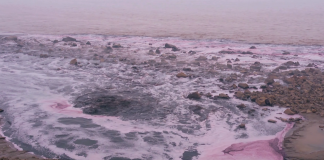 Moten truer verden – bransjen tar tak