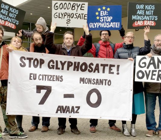 Monsanto går til søksmål mot Avaaz