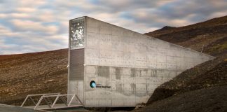 De første frøuttakene fra Svalbard-hvelvet er gjort. Nå skal 100 friske millioner trygge anlegget