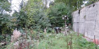 Hvorfor ikke lage en sjarmerende rufsehage i år?