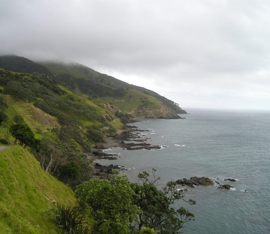 New Zealand stopper oljeleting – klimahensyn veier tyngst