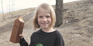 Sigrid er med og hjelper villbiene – 10.000 biehus deles ut gratis