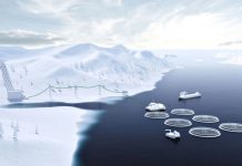 Laksenæringen kan kutte utslipp tilsvarende 180.000 biler