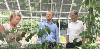 Ny nasjonal strategi: Organisatoriske grep skal gje auka økoproduksjon i Norge