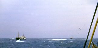 Plasthvalen fra 1971