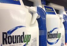 Roundup godkjent på nytt i EU, men tvilen består
