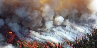 NVE advarer: Vi må forberede oss på flere tørkesomre som i år