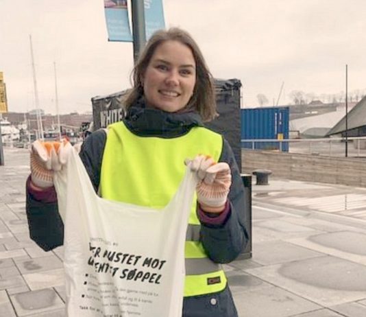 Strandryddedagen er utsatt til høsten