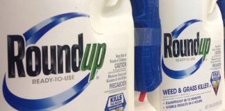 Monsanto tapte ankesak om Roundup
