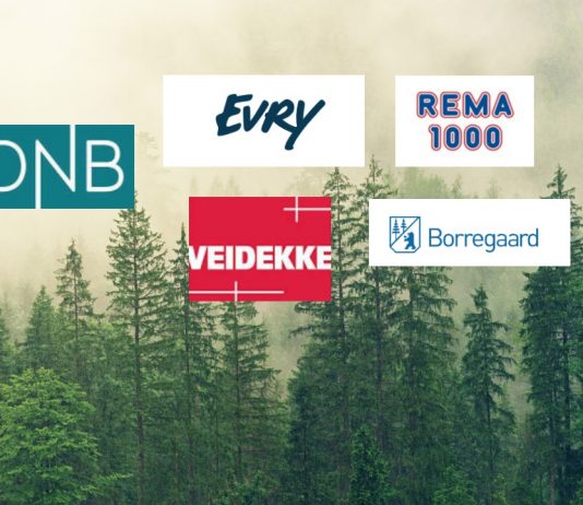 Fem norske selskaper scorer høyt på klimatiltak hos CDP