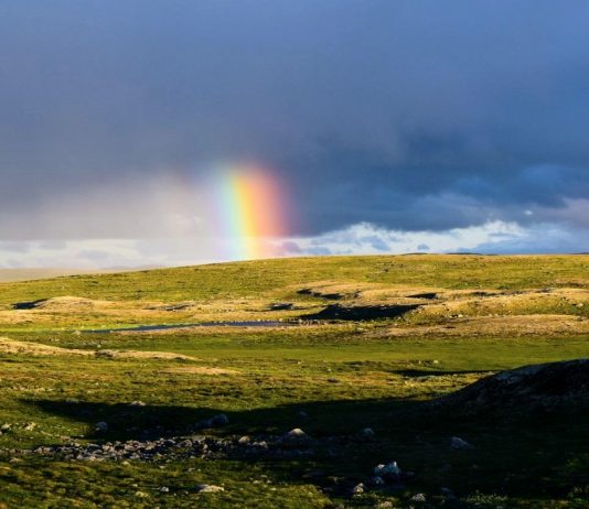 Hardangervidda – en uekte nasjonalpark?