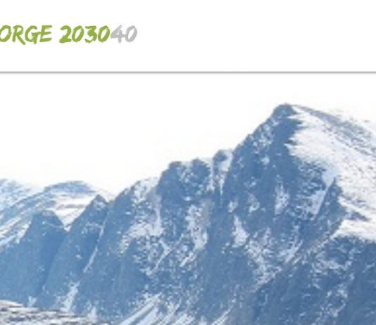 Norge 203040 ansetter daglig leder