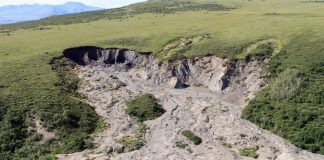 Permafrosttining har blitt global