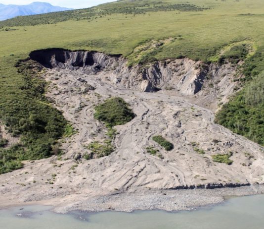 Permafrosttining har blitt global