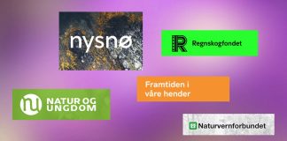 Slik reagerte de på regjeringsplattformen