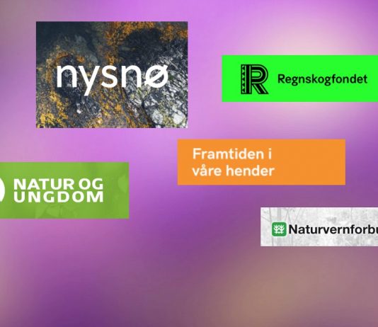 Slik reagerte de på regjeringsplattformen