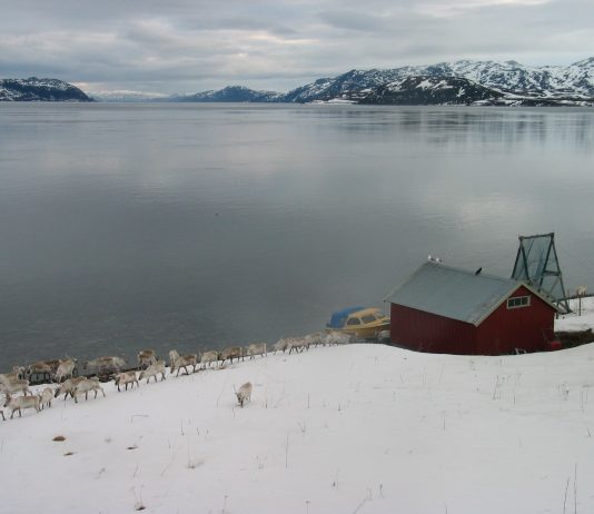 Nussir: Brevet næringsministeren ikke vil snakke om