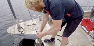 Mikroplasten er i innsjøer også – nå er Mjøsa og Femunden undersøkt