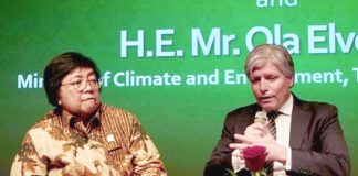 Avskoging minker i Indonesia – Norge utbetaler for utslippskutt