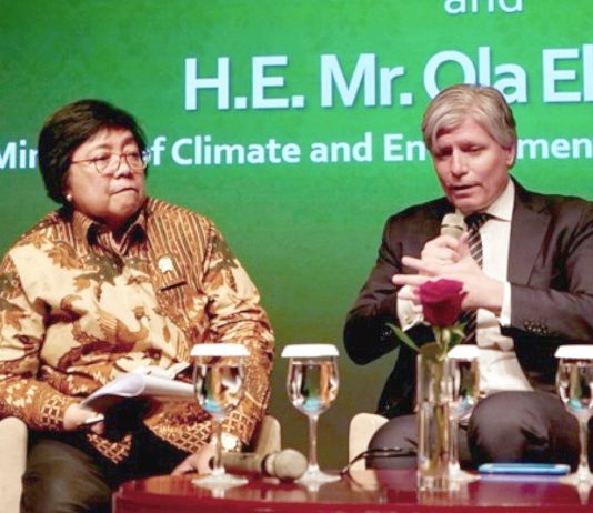 Avskoging minker i Indonesia – Norge utbetaler for utslippskutt