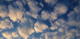 Høyt CO2-nivå kan oppløse bukleskyer. Det kan øke den globale oppvarmingen kraftig