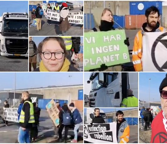 Extinction Rebellion blokkerte oljehavn i sin første aksjon i Danmark